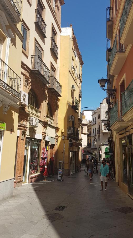 Apartment Loft Con Encanto En Casa Palacio Junto Catedral Wifi Seville